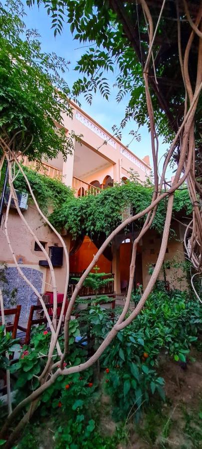 Oasis De Tiout Apartment Exterior photo